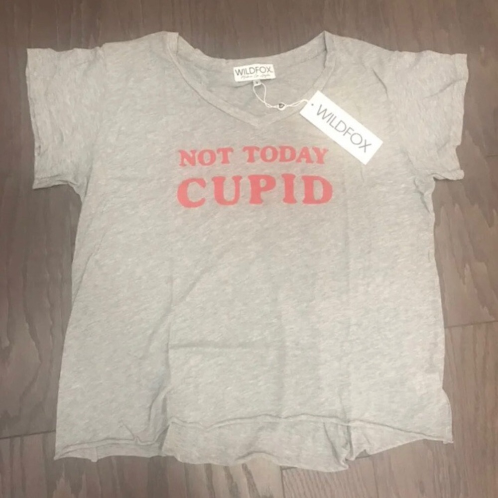 NWT Wildfox Not Today Cupid Gray & Red Shirt Top